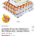 닥터안스에그 무항생제 햇달걀 중란 60