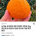 초고당도 제주 한라봉 2kg(6~8과) 중소과 (유클)