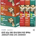 참치/연어/치킨 짜먹는 고양이츄르 60p