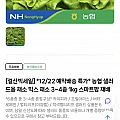 농협 유러피안 샐러드 1kg (랜덤4종)