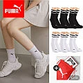 푸마 중목 양말 8족
