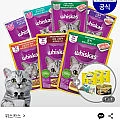 위스카스팩 파우치 24개 골라담기+캣닢쿠션+템테이션 12g 3팩