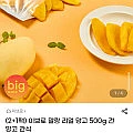 (2+1팩) 이브로 말랑 리얼 망고 500g 건망고 간식