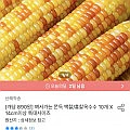 홍찰옥수수 특대 10개