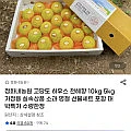 하우스 천혜향, 한라봉 3kg (유클14,350원~)