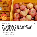 부사/청송 가정용 못난이 사과 5kg 중과