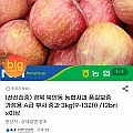 경북 북안동 농협사과 가정용 A급 3kg