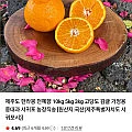 제주도 한라봉 중대과 사이즈 5KG