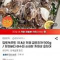 국내산 제철 갑오징어 500g