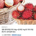 냉동 열대과일 리치 1kg + 람부탄 1kg 외 기타과일