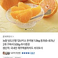 농할 당도선별 12브릭스 한라봉 1.5kg 중과(6~8과)