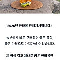 제주 산지직송 한라봉 중소과 10kg