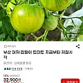 농협인증 부산 대저 짭짤이 토마토 2.5kg