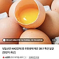 당일산란 HACCP인증 무항생제 계란 30구 특란 달걀 (멤버쉽무료)