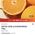 제주직송 서귀포 노지 한라봉 10kg