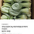 국내산 청경채 마라탕용 2kg