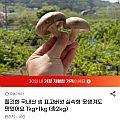 국내산 생 표고 실속형 2kg