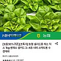 농협 샐러드용 채소 믹스 1kg 3~4종 내외