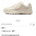 나이키 P-6000