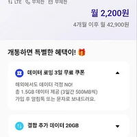 SKT망 알뜰 100GB + 5Mbps