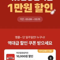 배민X카카오페이 처갓집 10,000할인 쿠폰