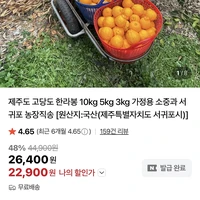 제주도 고당도 한라봉 3kg