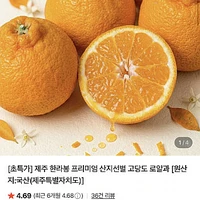 제주 고당도 한라봉 5kg 정품 중소과