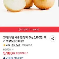 위메프 무안 와송 양파 5Kg