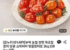 부여 농협 스테비아 방울토마토 2kg