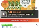 퐁퐁 친환경 주방세제 오렌지 1.2L 4개