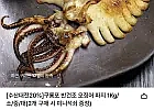 구룡포 반건조 오징어 700g 10미