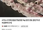 냉동 대패삼겹살, 냉동 삼겹살
