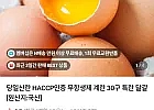 당일산란 HACCP인증 무항생제 계란 30구 특란