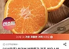 제주 하우스한라봉 2kg+500덤